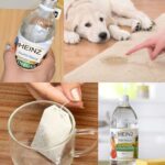 A New Life for Empty Medicine Containers: Creative Reuse Ideas